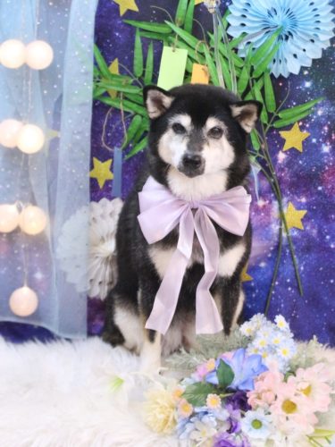 20250710ひめちゃん